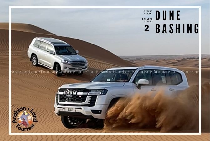 Exclusive Desert Safari