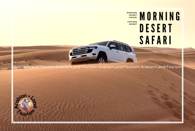 Morning Desert Safari